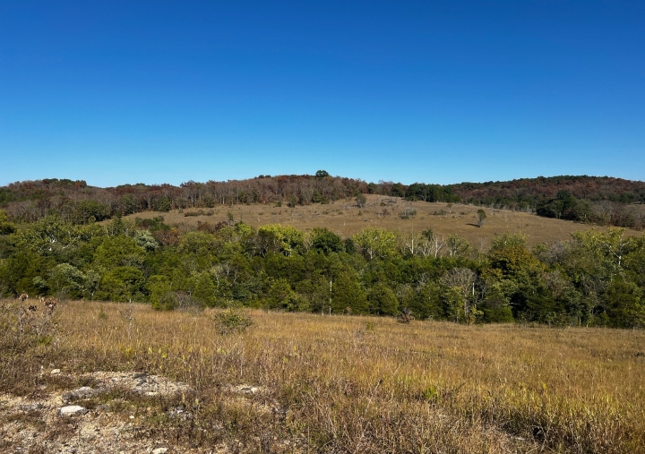 Victoria Glades